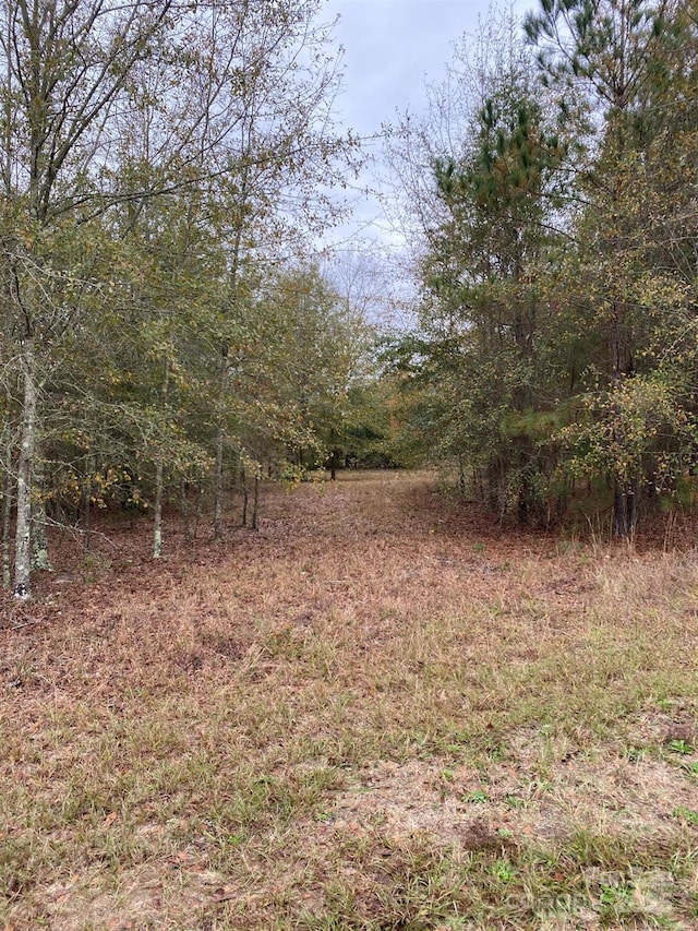 0 Wexford Mill Dr, Wagener, SC 29164 - photo 4
