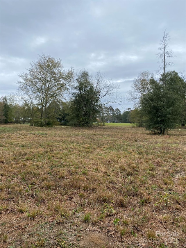 0 Wexford Mill Dr, Wagener, SC 29164 - photo 10