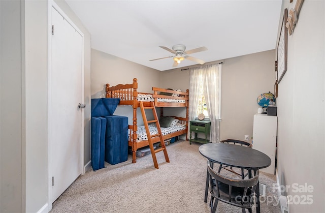 600 Will Jones Cir, Catawba, SC 29704 - photo 20