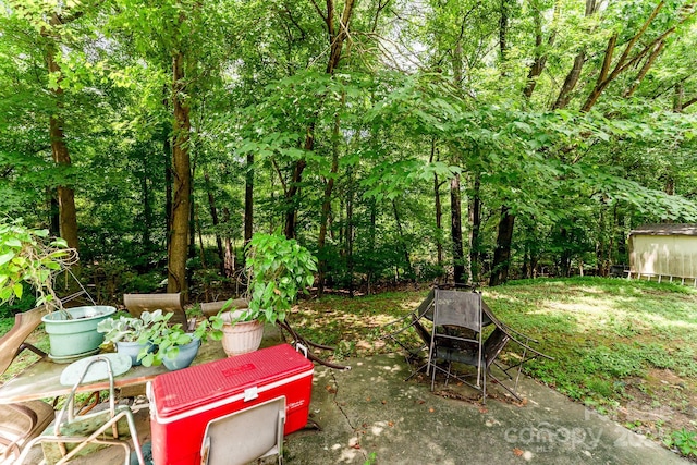 429 Sunnywood Ln, Charlotte, NC 28270 - photo 26
