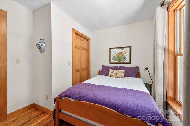 2316 NC-63 Hwy, Hot Springs, NC 28743 - photo 24
