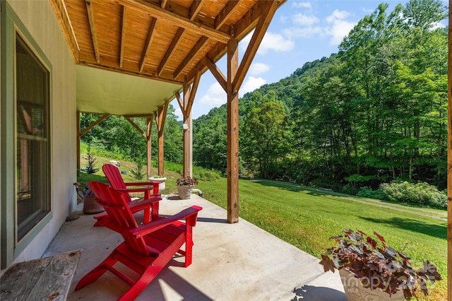 2316 NC-63 Hwy, Hot Springs, NC 28743 - photo 35