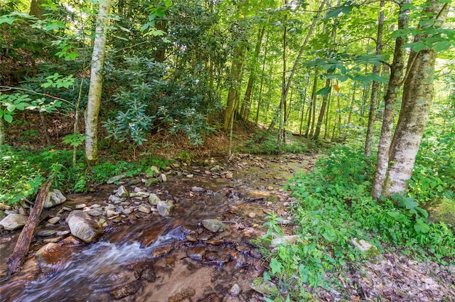 2316 NC-63 Hwy, Hot Springs, NC 28743 - photo 38