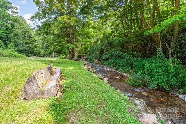 2316 NC-63 Hwy, Hot Springs, NC 28743 - photo 40