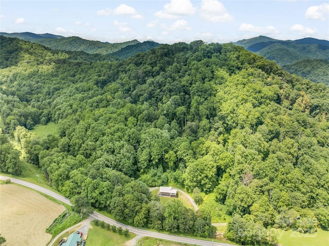 2316 NC-63 Hwy, Hot Springs, NC 28743 - photo 42