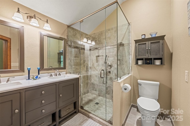 747 Bear Cove Cir, Bryson City, NC 28713 - bathroom featuring lofted ceiling, double vanity, and a stall shower