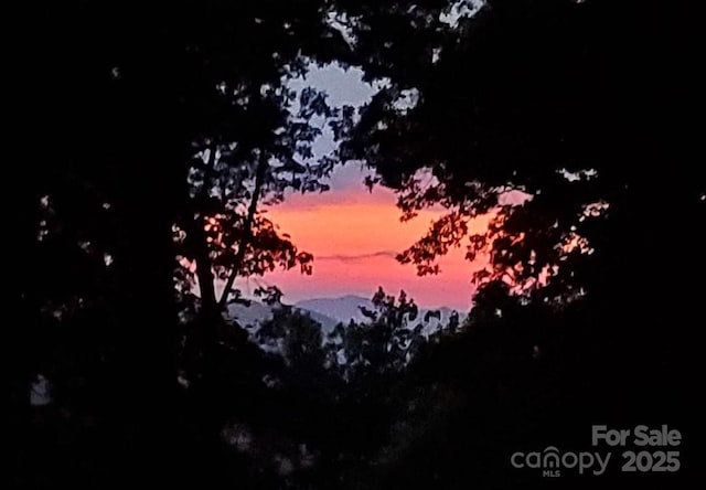 747 Bear Cove Cir, Bryson City, NC 28713 - view of local wilderness