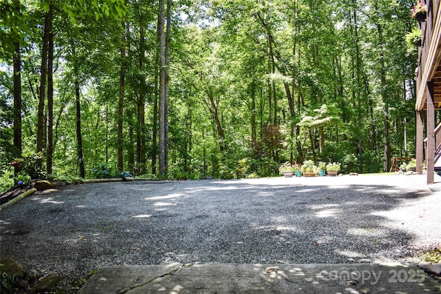 747 Bear Cove Cir, Bryson City, NC 28713 - view of yard with a forest view
