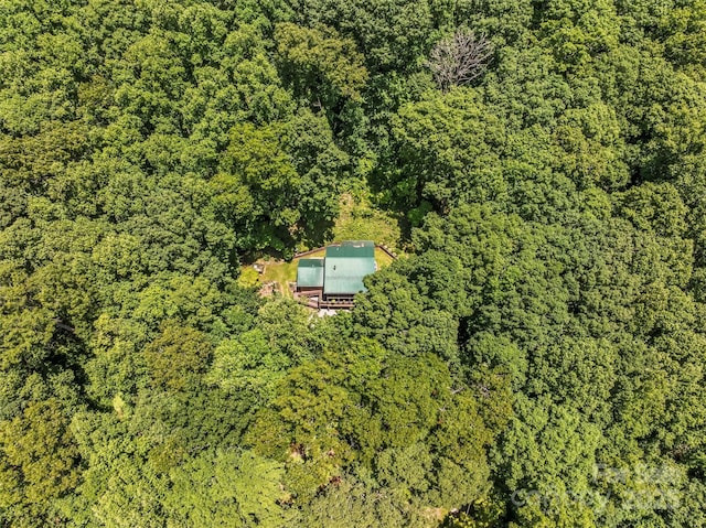 747 Bear Cove Cir, Bryson City, NC 28713 - view of subject property featuring a heavily wooded area