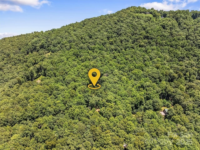 747 Bear Cove Cir, Bryson City, NC 28713 - bird's eye view of a heavily wooded area