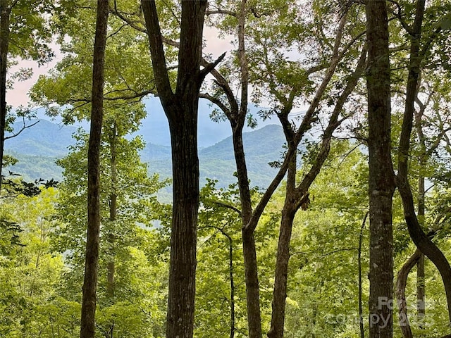 747 Bear Cove Cir, Bryson City, NC 28713 - water view featuring mountains