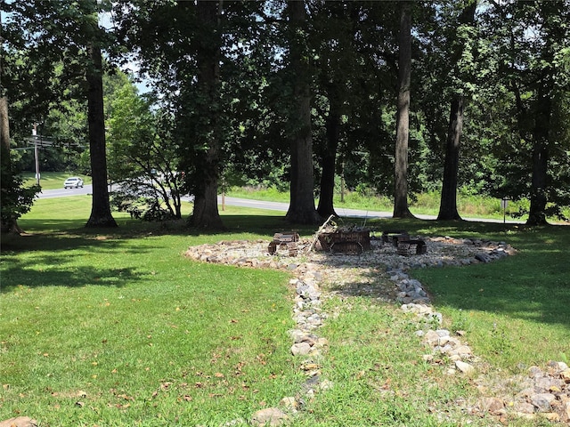 7335 US Highway 52, Salisbury, NC 28146 - view of green lawn