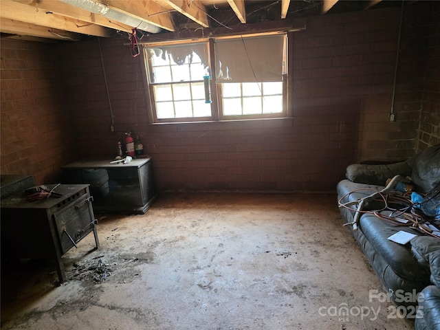 7335 US Highway 52, Salisbury, NC 28146 - basement with a wood stove