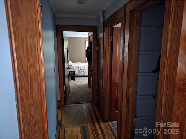 7335 US Highway 52, Salisbury, NC 28146 - hall featuring hardwood / wood-style floors and ornamental molding