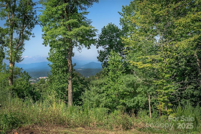 424 Reservoir Rd Unit 1R, Asheville, NC 28803