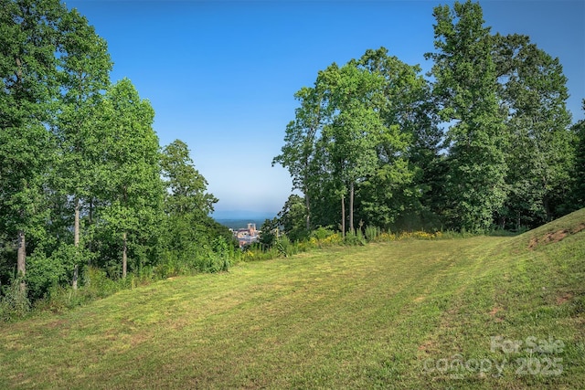 424 Reservoir Rd Unit 1R, Asheville, NC 28803