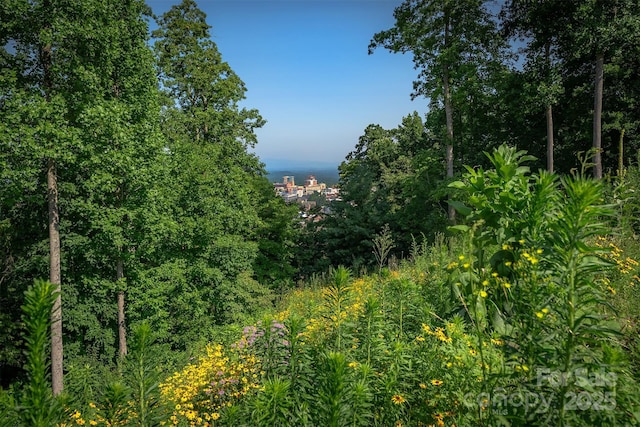 424 Reservoir Rd Unit 1R, Asheville, NC 28803