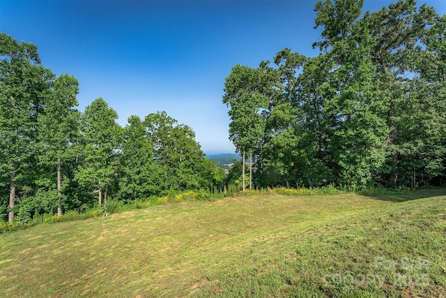 424 Reservoir Rd Unit 1R, Asheville, NC 28803