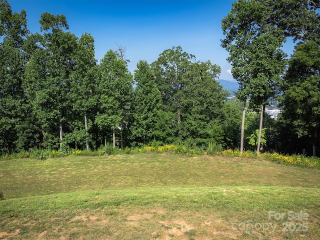 424 Reservoir Rd Unit 1R, Asheville, NC 28803
