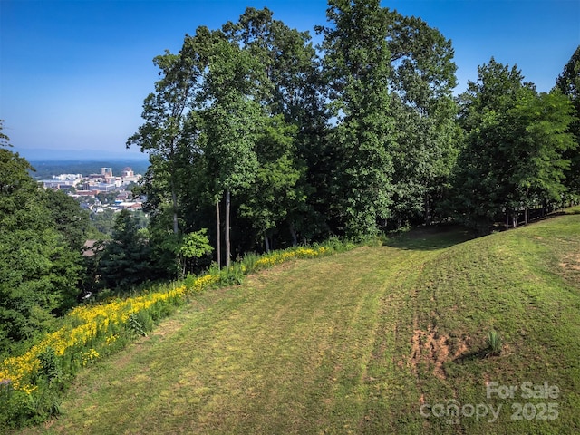424 Reservoir Rd Unit 1R, Asheville, NC 28803