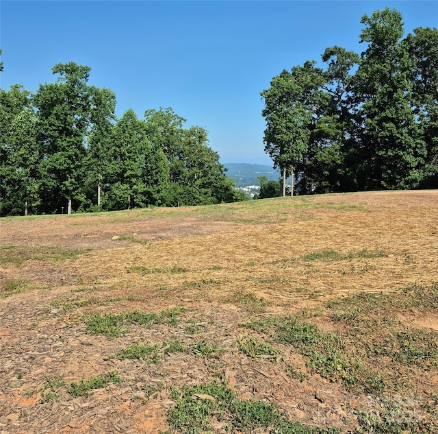 424 Reservoir Rd Unit 1R, Asheville, NC 28803