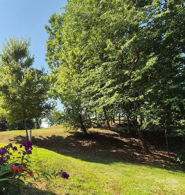 424 Reservoir Rd Unit 1R, Asheville, NC 28803