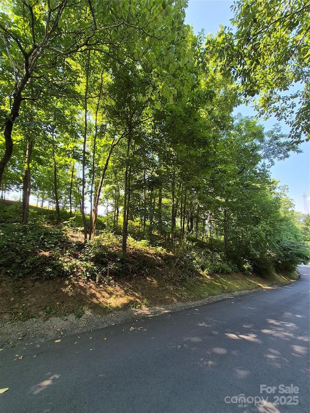 424 Reservoir Rd Unit 1R, Asheville, NC 28803