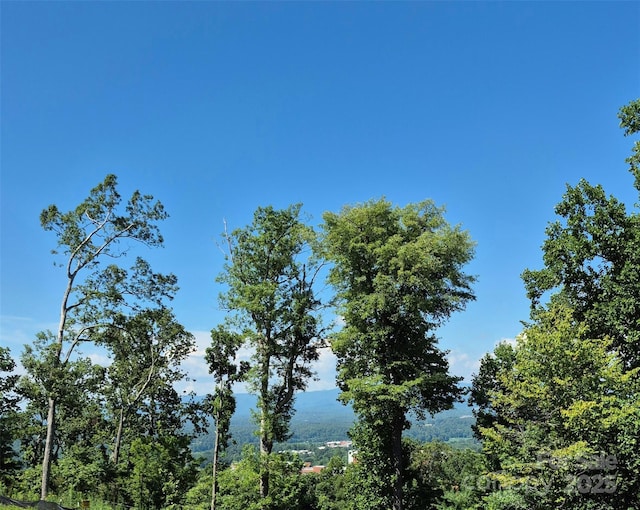 424 Reservoir Rd Unit 1R, Asheville, NC 28803