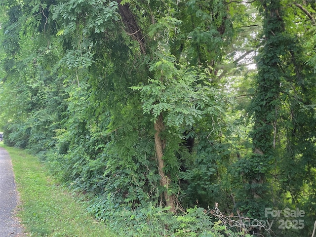 TBD Vista Falls Road, Mills River, NC 28759 - photo 4