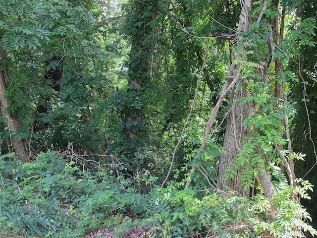 TBD Vista Falls Road, Mills River, NC 28759 - photo 5