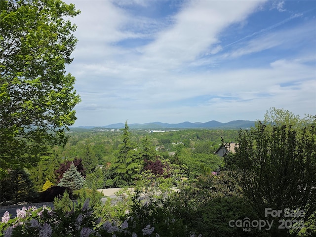 TBD Vista Falls Road, Mills River, NC 28759 - photo 11