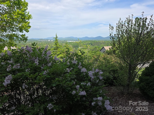 TBD Vista Falls Road, Mills River, NC 28759 - photo 12