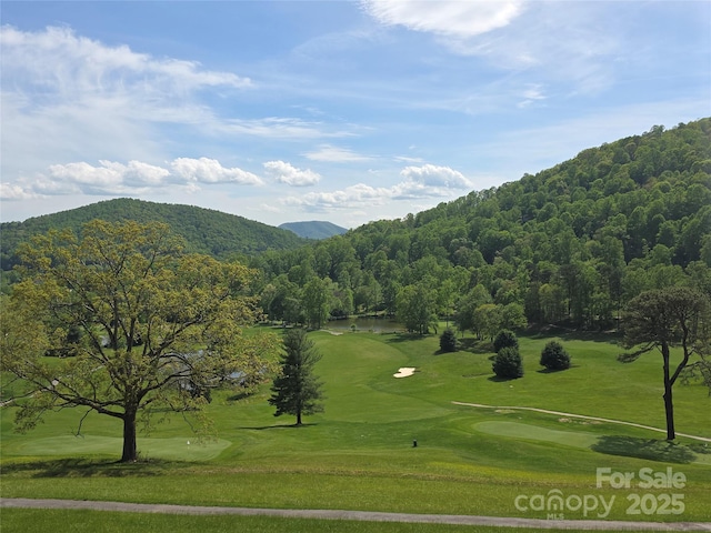TBD Vista Falls Road, Mills River, NC 28759 - photo 15
