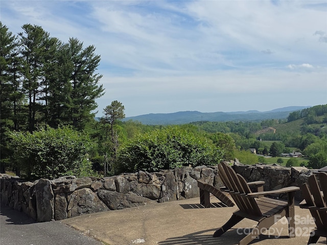 TBD Vista Falls Road, Mills River, NC 28759 - photo 18