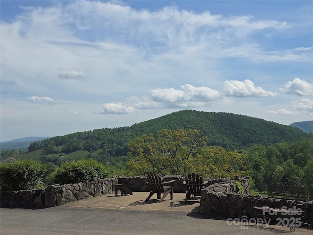 TBD Vista Falls Road, Mills River, NC 28759 - photo 19