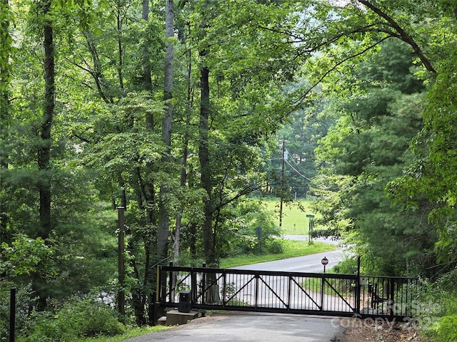 TBD Vista Falls Road, Mills River, NC 28759 - photo 20