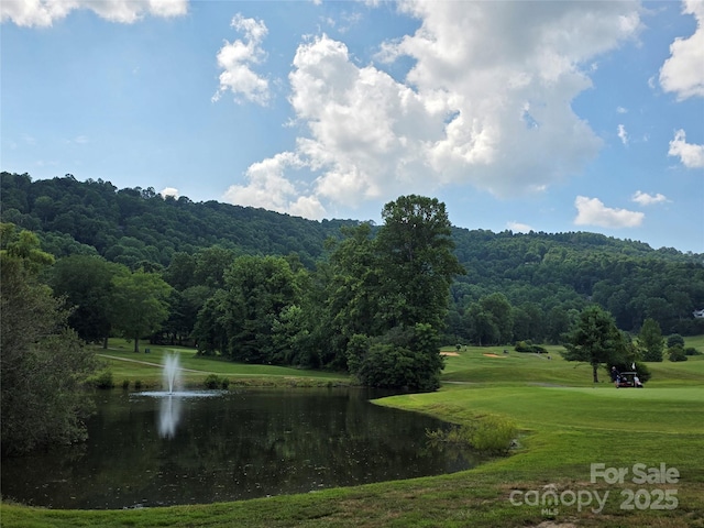 TBD Vista Falls Road, Mills River, NC 28759 - photo 22