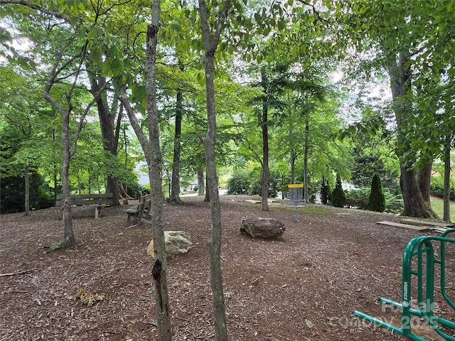 TBD Vista Falls Road, Mills River, NC 28759 - photo 25