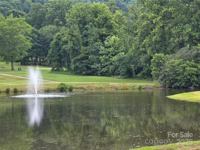 TBD Vista Falls Road, Mills River, NC 28759 - photo 28