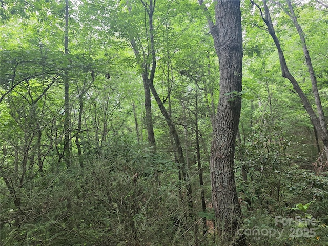 99999 Laurel Dr, Mills River, NC 28759 - photo 7