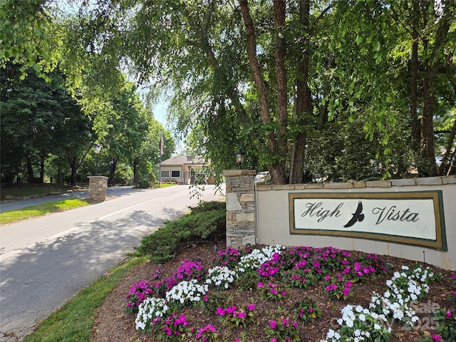 99999 Laurel Dr, Mills River, NC 28759 - photo 30