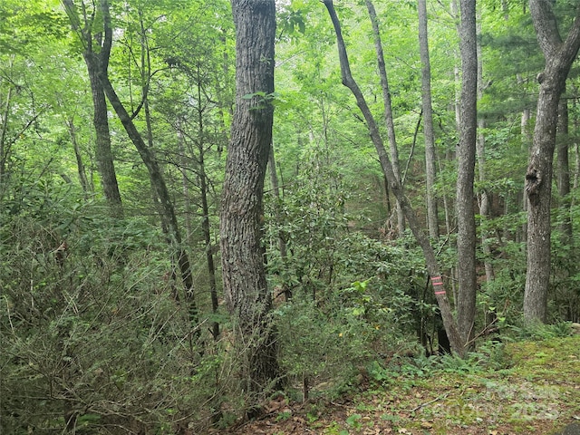 99999 Laurel Dr, Mills River, NC 28759 - photo 9