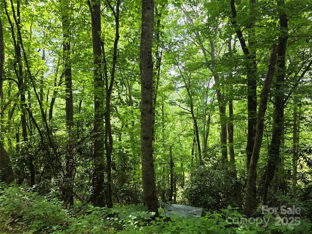 99999 Red Oak Dr, Mills River, NC 28759 - photo 4