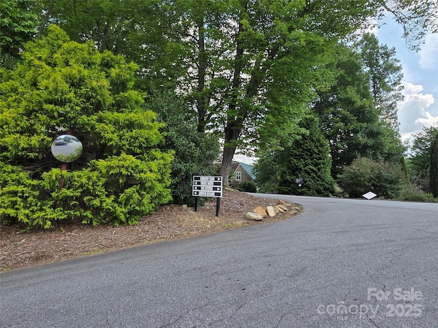 99999 Red Oak Dr, Mills River, NC 28759 - photo 24