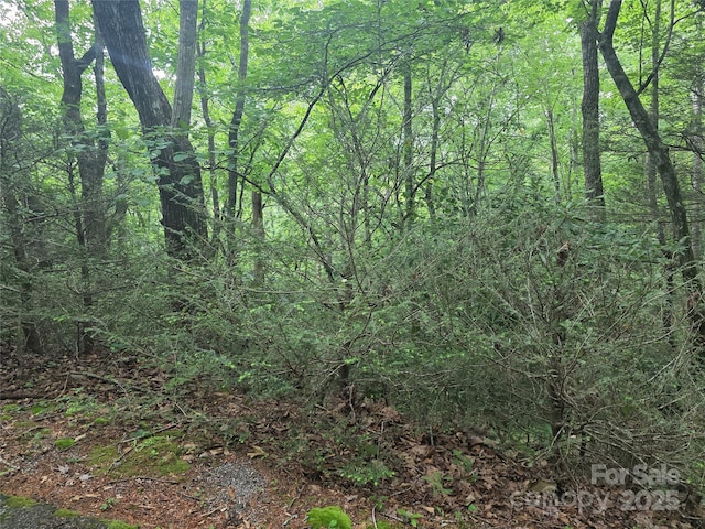 217 High Vista Rd, Mills River, NC 28759 - photo 6