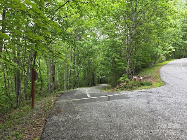 217 High Vista Rd, Mills River, NC 28759 - photo 7