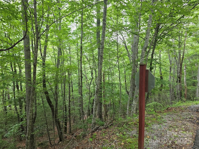 217 High Vista Rd, Mills River, NC 28759 - photo 8