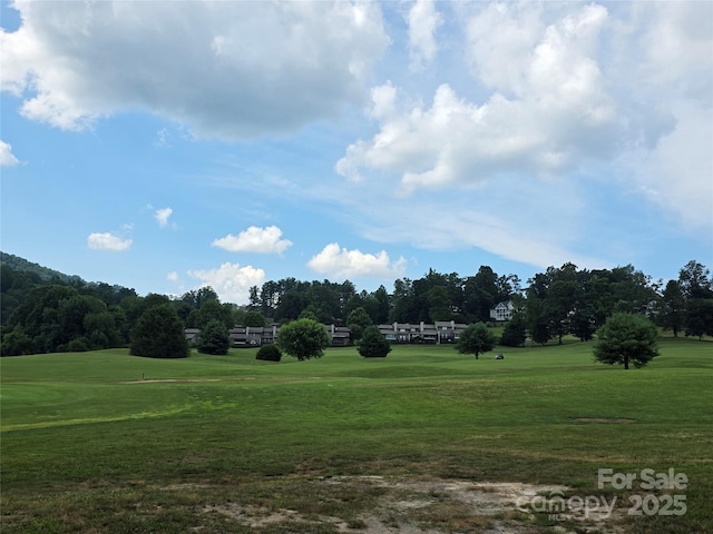 217 High Vista Rd, Mills River, NC 28759 - photo 10