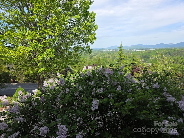 217 High Vista Rd, Mills River, NC 28759 - photo 15