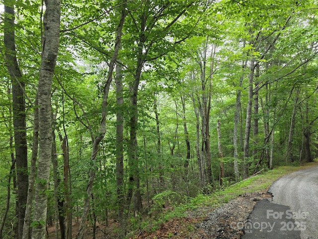 216 High Vista Rd, Mills River, NC 28759 - photo 4